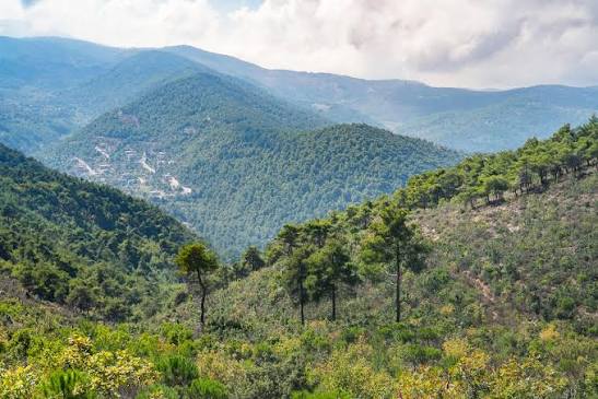 Akkar