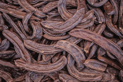 Dried carob pods, the fruit used in Jar Thuraya carob spreads